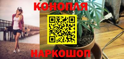 крисы Брянск