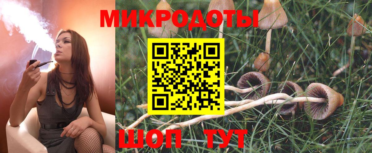 Галлюциногенные грибы Psilocybe Белогорск