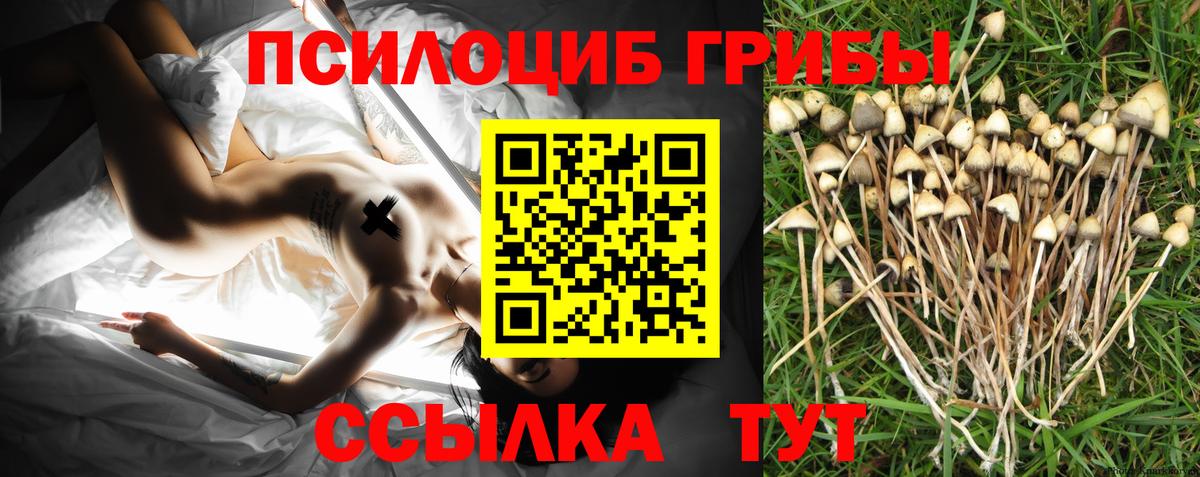 Псилоцибиновые грибы мицелий  Вход с VPN  Псилоцибиновые грибы Psilocybe  Белогорск 